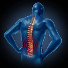 When to See an Orthopedic Surgeon for Spinal Issues