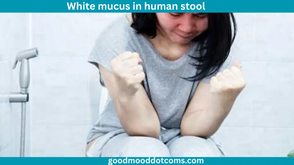 white mucus in human stool​