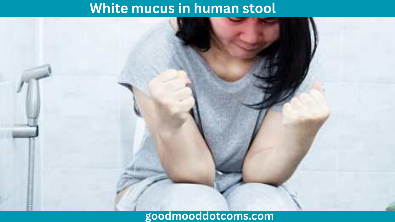 white mucus in human stool white mucus in human stool
