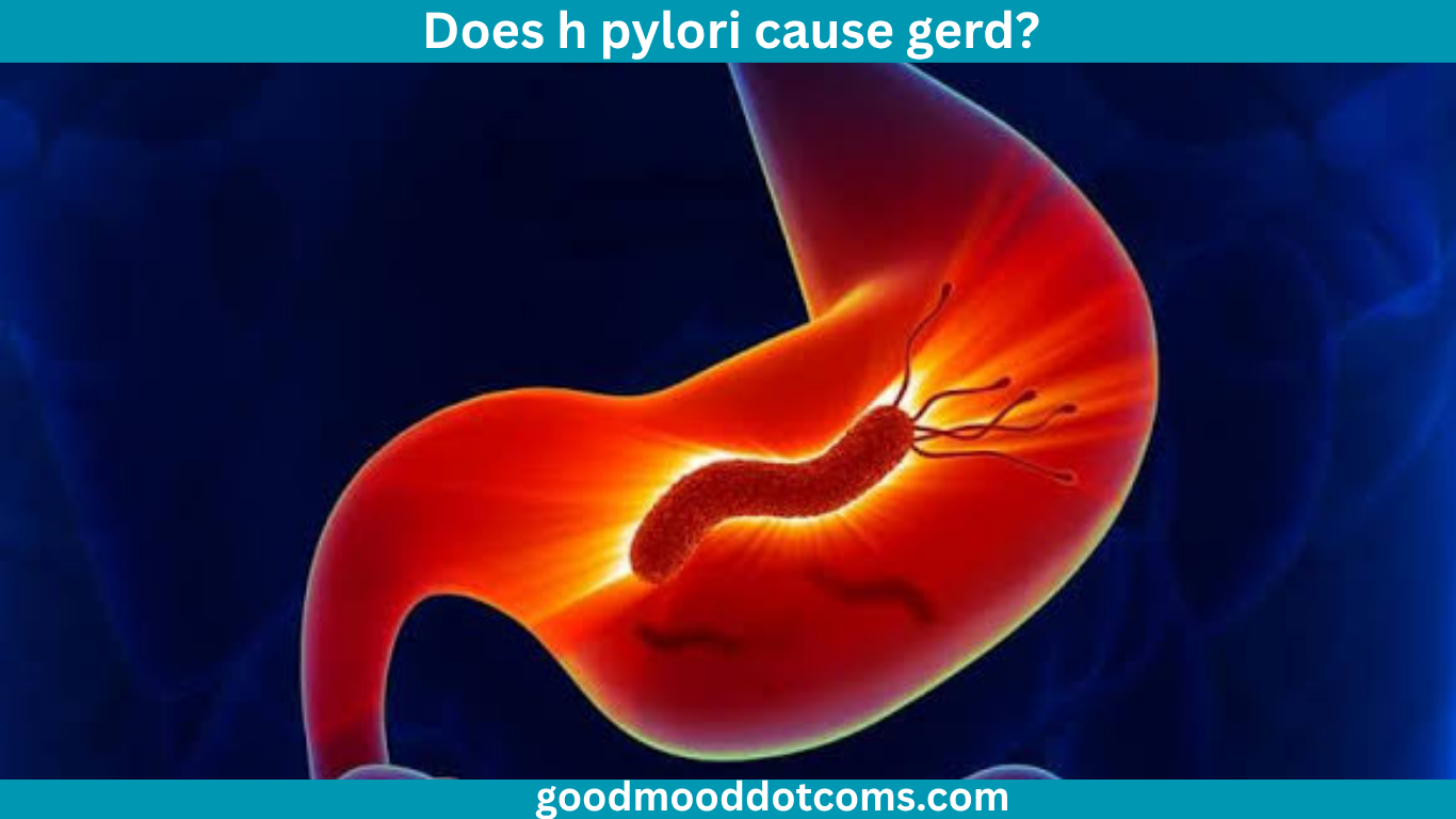 does h pylori cause gerd? does h pylori cause gerd?