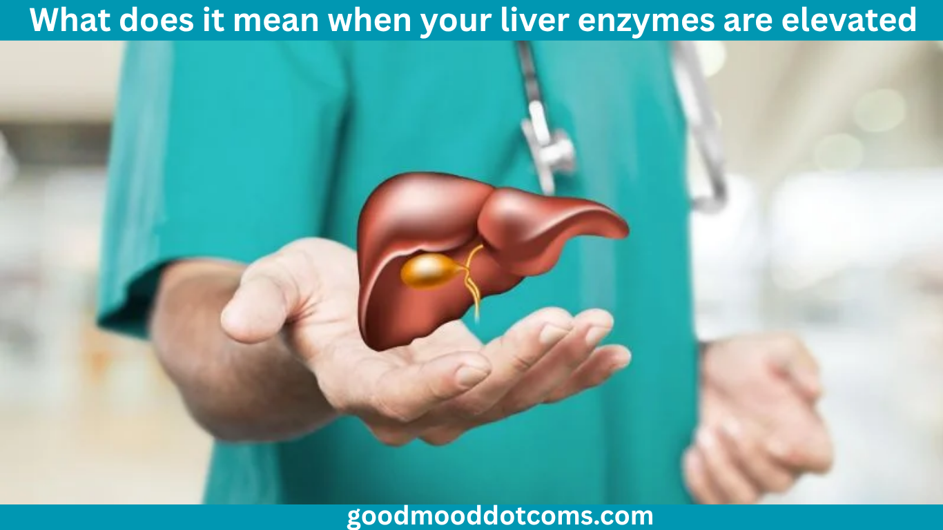 what does it mean when your liver enzymes are elevated