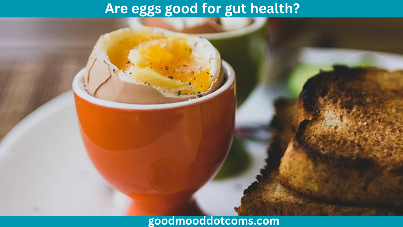 are eggs good for gut health?